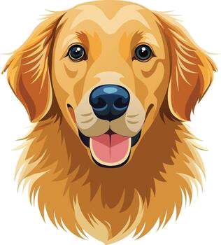 Family and pet friendly when used as directed